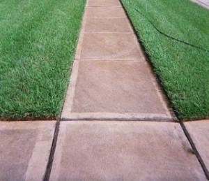 A freshly edged sidewalk with a clean, defined border between the sidewalk and the adjacent lawn. The edges of the sidewalk have been carefully trimmed to create a sharp and polished appearance. The clean lines of the edged sidewalk add a sense of tidiness and neatness to the overall landscape, enhancing the curb appeal of the area.