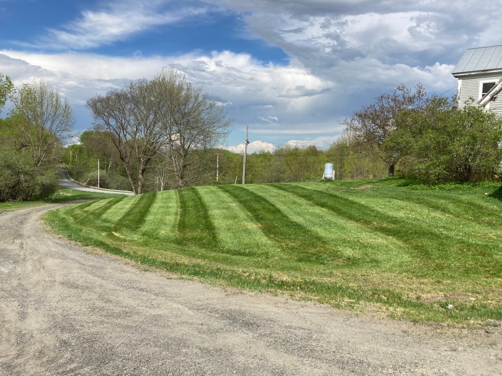 A well-manicured lawn with freshly cut grass displaying crisp stripes, accompanied by a driveway. The alternating light and dark stripes on the lawn create a visually appealing pattern, indicating the precision of the mowing process. The neatly paved driveway complements the pristine appearance of the lawn, evoking a sense of orderliness and attention to detail in the overall landscape.